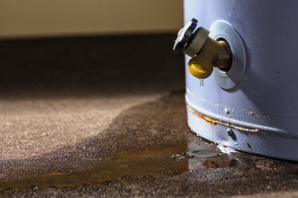 Best Emergency water damage restoration  in Carmi, IL