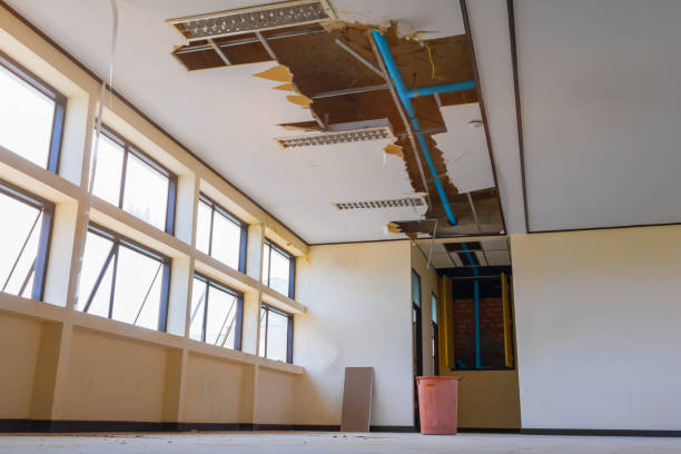 Best Local water damage restoration  in Carmi, IL