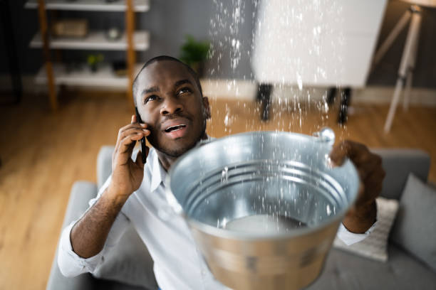 Best Water damage cleanup near me  in Carmi, IL