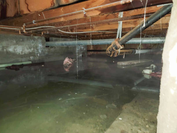 Best Water damage restoration near me  in Carmi, IL