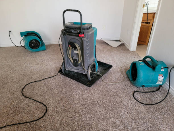 Best Professional water damage repair  in Carmi, IL