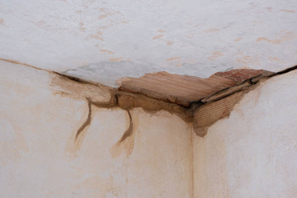 Best Emergency water damage restoration  in Carmi, IL