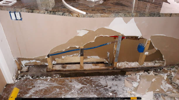 Best Residential water damage restoration  in Carmi, IL