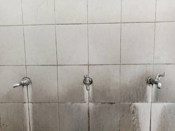 Best Commercial water damage restoration  in Carmi, IL