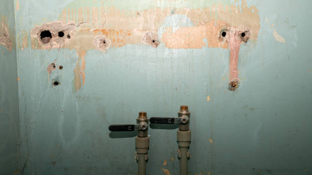Best Water damage restoration near me  in Carmi, IL