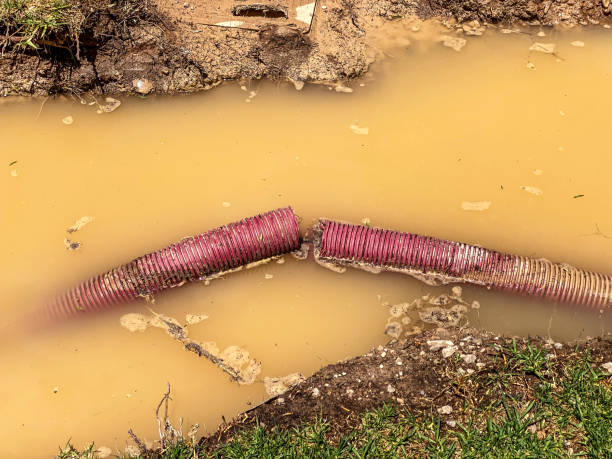 Local water damage restoration in Carmi, IL