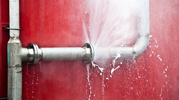 Best Mold removal after water damage  in Carmi, IL